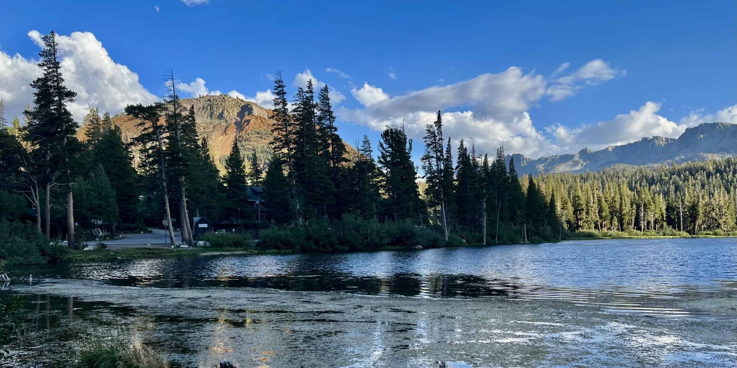 A vibrant dog park bathed in sunlight features abundant greenery with mature trees, offering ample shade for leisurely outdoor activities. In the distance is a well-equipped playground that presents an additional activity area. An inviting picnic table spreads out nearby, ideal for enjoying meals al fresco or taking relaxing breaks from play. A neatly-placed trash bin aids in maintaining the park's cleanliness for everyone's enjoyment. Dominating the scene is a generously wide dirt path gracefully curving through the expanse of grass, promising exploratory walks and lively fetch games.