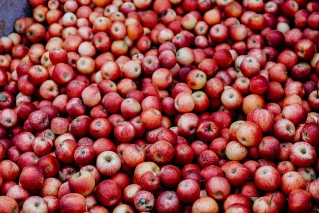 Apple Hill. Photo by Craig Pattenaude.