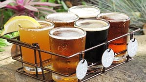 A vibrant dog park bathed in sunlight features abundant greenery with mature trees, offering ample shade for leisurely outdoor activities. In the distance is a well-equipped playground that presents an additional activity area. An inviting picnic table spreads out nearby, ideal for enjoying meals al fresco or taking relaxing breaks from play. A neatly-placed trash bin aids in maintaining the park's cleanliness for everyone's enjoyment. Dominating the scene is a generously wide dirt path gracefully curving through the expanse of grass, promising exploratory walks and lively fetch games.