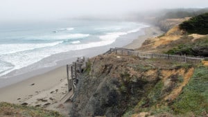A vibrant dog park bathed in sunlight features abundant greenery with mature trees, offering ample shade for leisurely outdoor activities. In the distance is a well-equipped playground that presents an additional activity area. An inviting picnic table spreads out nearby, ideal for enjoying meals al fresco or taking relaxing breaks from play. A neatly-placed trash bin aids in maintaining the park's cleanliness for everyone's enjoyment. Dominating the scene is a generously wide dirt path gracefully curving through the expanse of grass, promising exploratory walks and lively fetch games.