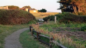 A vibrant dog park bathed in sunlight features abundant greenery with mature trees, offering ample shade for leisurely outdoor activities. In the distance is a well-equipped playground that presents an additional activity area. An inviting picnic table spreads out nearby, ideal for enjoying meals al fresco or taking relaxing breaks from play. A neatly-placed trash bin aids in maintaining the park's cleanliness for everyone's enjoyment. Dominating the scene is a generously wide dirt path gracefully curving through the expanse of grass, promising exploratory walks and lively fetch games.