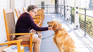 A vibrant dog park bathed in sunlight features abundant greenery with mature trees, offering ample shade for leisurely outdoor activities. In the distance is a well-equipped playground that presents an additional activity area. An inviting picnic table spreads out nearby, ideal for enjoying meals al fresco or taking relaxing breaks from play. A neatly-placed trash bin aids in maintaining the park's cleanliness for everyone's enjoyment. Dominating the scene is a generously wide dirt path gracefully curving through the expanse of grass, promising exploratory walks and lively fetch games.