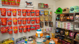 A vibrant dog park bathed in sunlight features abundant greenery with mature trees, offering ample shade for leisurely outdoor activities. In the distance is a well-equipped playground that presents an additional activity area. An inviting picnic table spreads out nearby, ideal for enjoying meals al fresco or taking relaxing breaks from play. A neatly-placed trash bin aids in maintaining the park's cleanliness for everyone's enjoyment. Dominating the scene is a generously wide dirt path gracefully curving through the expanse of grass, promising exploratory walks and lively fetch games.