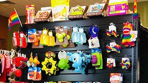 A vibrant dog park bathed in sunlight features abundant greenery with mature trees, offering ample shade for leisurely outdoor activities. In the distance is a well-equipped playground that presents an additional activity area. An inviting picnic table spreads out nearby, ideal for enjoying meals al fresco or taking relaxing breaks from play. A neatly-placed trash bin aids in maintaining the park's cleanliness for everyone's enjoyment. Dominating the scene is a generously wide dirt path gracefully curving through the expanse of grass, promising exploratory walks and lively fetch games.