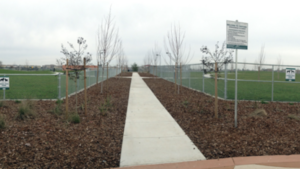 A vibrant dog park bathed in sunlight features abundant greenery with mature trees, offering ample shade for leisurely outdoor activities. In the distance is a well-equipped playground that presents an additional activity area. An inviting picnic table spreads out nearby, ideal for enjoying meals al fresco or taking relaxing breaks from play. A neatly-placed trash bin aids in maintaining the park's cleanliness for everyone's enjoyment. Dominating the scene is a generously wide dirt path gracefully curving through the expanse of grass, promising exploratory walks and lively fetch games.