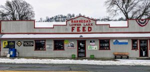 A vibrant dog park bathed in sunlight features abundant greenery with mature trees, offering ample shade for leisurely outdoor activities. In the distance is a well-equipped playground that presents an additional activity area. An inviting picnic table spreads out nearby, ideal for enjoying meals al fresco or taking relaxing breaks from play. A neatly-placed trash bin aids in maintaining the park's cleanliness for everyone's enjoyment. Dominating the scene is a generously wide dirt path gracefully curving through the expanse of grass, promising exploratory walks and lively fetch games.
