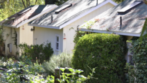A vibrant dog park bathed in sunlight features abundant greenery with mature trees, offering ample shade for leisurely outdoor activities. In the distance is a well-equipped playground that presents an additional activity area. An inviting picnic table spreads out nearby, ideal for enjoying meals al fresco or taking relaxing breaks from play. A neatly-placed trash bin aids in maintaining the park's cleanliness for everyone's enjoyment. Dominating the scene is a generously wide dirt path gracefully curving through the expanse of grass, promising exploratory walks and lively fetch games.
