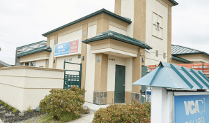 A vibrant dog park bathed in sunlight features abundant greenery with mature trees, offering ample shade for leisurely outdoor activities. In the distance is a well-equipped playground that presents an additional activity area. An inviting picnic table spreads out nearby, ideal for enjoying meals al fresco or taking relaxing breaks from play. A neatly-placed trash bin aids in maintaining the park's cleanliness for everyone's enjoyment. Dominating the scene is a generously wide dirt path gracefully curving through the expanse of grass, promising exploratory walks and lively fetch games.