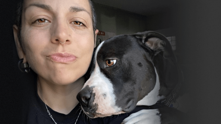 Pet Food Express Oakland Stores