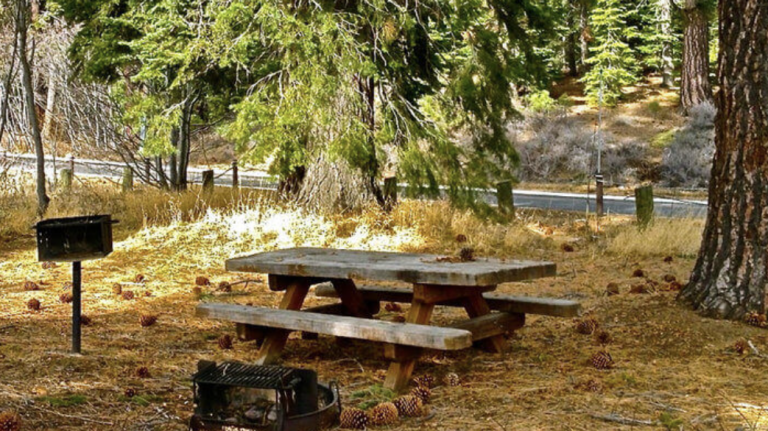 Lake Forest Campground campsite