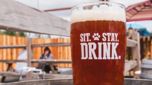 A vibrant dog park bathed in sunlight features abundant greenery with mature trees, offering ample shade for leisurely outdoor activities. In the distance is a well-equipped playground that presents an additional activity area. An inviting picnic table spreads out nearby, ideal for enjoying meals al fresco or taking relaxing breaks from play. A neatly-placed trash bin aids in maintaining the park's cleanliness for everyone's enjoyment. Dominating the scene is a generously wide dirt path gracefully curving through the expanse of grass, promising exploratory walks and lively fetch games.