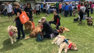 Sacramento SPCA Doggy Dash.