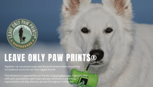 A vibrant dog park bathed in sunlight features abundant greenery with mature trees, offering ample shade for leisurely outdoor activities. In the distance is a well-equipped playground that presents an additional activity area. An inviting picnic table spreads out nearby, ideal for enjoying meals al fresco or taking relaxing breaks from play. A neatly-placed trash bin aids in maintaining the park's cleanliness for everyone's enjoyment. Dominating the scene is a generously wide dirt path gracefully curving through the expanse of grass, promising exploratory walks and lively fetch games.