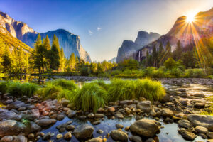 A vibrant dog park bathed in sunlight features abundant greenery with mature trees, offering ample shade for leisurely outdoor activities. In the distance is a well-equipped playground that presents an additional activity area. An inviting picnic table spreads out nearby, ideal for enjoying meals al fresco or taking relaxing breaks from play. A neatly-placed trash bin aids in maintaining the park's cleanliness for everyone's enjoyment. Dominating the scene is a generously wide dirt path gracefully curving through the expanse of grass, promising exploratory walks and lively fetch games.