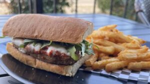 A vibrant dog park bathed in sunlight features abundant greenery with mature trees, offering ample shade for leisurely outdoor activities. In the distance is a well-equipped playground that presents an additional activity area. An inviting picnic table spreads out nearby, ideal for enjoying meals al fresco or taking relaxing breaks from play. A neatly-placed trash bin aids in maintaining the park's cleanliness for everyone's enjoyment. Dominating the scene is a generously wide dirt path gracefully curving through the expanse of grass, promising exploratory walks and lively fetch games.