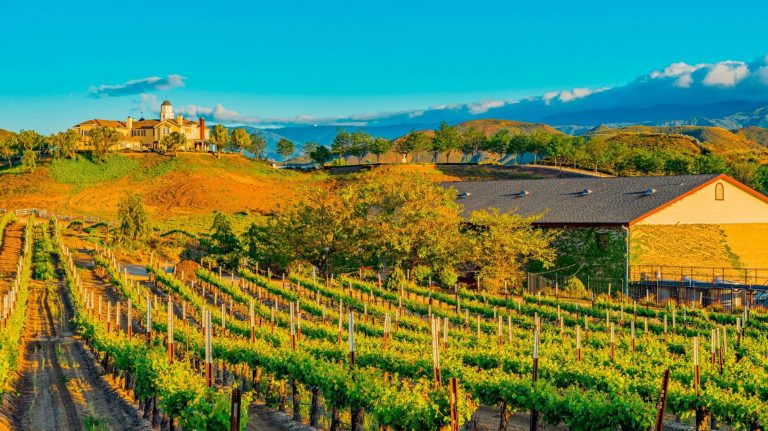 A vibrant dog park bathed in sunlight features abundant greenery with mature trees, offering ample shade for leisurely outdoor activities. In the distance is a well-equipped playground that presents an additional activity area. An inviting picnic table spreads out nearby, ideal for enjoying meals al fresco or taking relaxing breaks from play. A neatly-placed trash bin aids in maintaining the park's cleanliness for everyone's enjoyment. Dominating the scene is a generously wide dirt path gracefully curving through the expanse of grass, promising exploratory walks and lively fetch games.