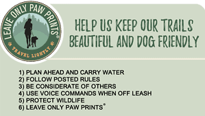 A vibrant dog park bathed in sunlight features abundant greenery with mature trees, offering ample shade for leisurely outdoor activities. In the distance is a well-equipped playground that presents an additional activity area. An inviting picnic table spreads out nearby, ideal for enjoying meals al fresco or taking relaxing breaks from play. A neatly-placed trash bin aids in maintaining the park's cleanliness for everyone's enjoyment. Dominating the scene is a generously wide dirt path gracefully curving through the expanse of grass, promising exploratory walks and lively fetch games.