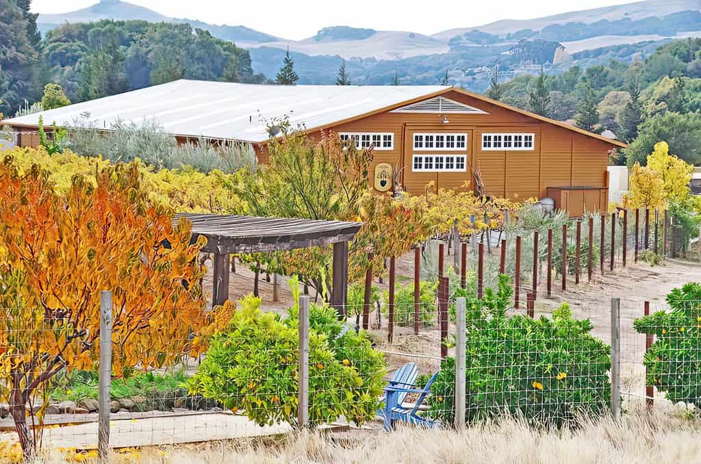 a wooden house surrounded by trees and bushes.