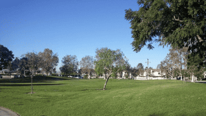A vibrant dog park bathed in sunlight features abundant greenery with mature trees, offering ample shade for leisurely outdoor activities. In the distance is a well-equipped playground that presents an additional activity area. An inviting picnic table spreads out nearby, ideal for enjoying meals al fresco or taking relaxing breaks from play. A neatly-placed trash bin aids in maintaining the park's cleanliness for everyone's enjoyment. Dominating the scene is a generously wide dirt path gracefully curving through the expanse of grass, promising exploratory walks and lively fetch games.
