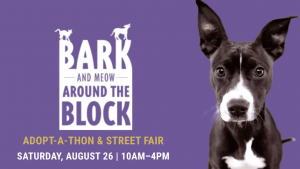 A vibrant dog park bathed in sunlight features abundant greenery with mature trees, offering ample shade for leisurely outdoor activities. In the distance is a well-equipped playground that presents an additional activity area. An inviting picnic table spreads out nearby, ideal for enjoying meals al fresco or taking relaxing breaks from play. A neatly-placed trash bin aids in maintaining the park's cleanliness for everyone's enjoyment. Dominating the scene is a generously wide dirt path gracefully curving through the expanse of grass, promising exploratory walks and lively fetch games.