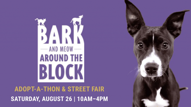 Bark and Meow Around the Block