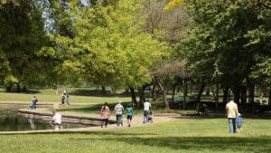 A vibrant dog park bathed in sunlight features abundant greenery with mature trees, offering ample shade for leisurely outdoor activities. In the distance is a well-equipped playground that presents an additional activity area. An inviting picnic table spreads out nearby, ideal for enjoying meals al fresco or taking relaxing breaks from play. A neatly-placed trash bin aids in maintaining the park's cleanliness for everyone's enjoyment. Dominating the scene is a generously wide dirt path gracefully curving through the expanse of grass, promising exploratory walks and lively fetch games.