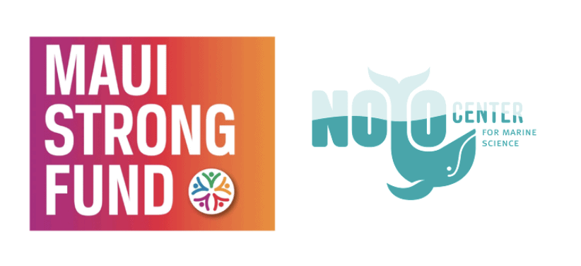 A vibrant dog park bathed in sunlight features abundant greenery with mature trees, offering ample shade for leisurely outdoor activities. In the distance is a well-equipped playground that presents an additional activity area. An inviting picnic table spreads out nearby, ideal for enjoying meals al fresco or taking relaxing breaks from play. A neatly-placed trash bin aids in maintaining the park's cleanliness for everyone's enjoyment. Dominating the scene is a generously wide dirt path gracefully curving through the expanse of grass, promising exploratory walks and lively fetch games.
