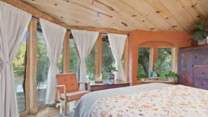 A vibrant dog park bathed in sunlight features abundant greenery with mature trees, offering ample shade for leisurely outdoor activities. In the distance is a well-equipped playground that presents an additional activity area. An inviting picnic table spreads out nearby, ideal for enjoying meals al fresco or taking relaxing breaks from play. A neatly-placed trash bin aids in maintaining the park's cleanliness for everyone's enjoyment. Dominating the scene is a generously wide dirt path gracefully curving through the expanse of grass, promising exploratory walks and lively fetch games.