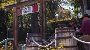 A vibrant dog park bathed in sunlight features abundant greenery with mature trees, offering ample shade for leisurely outdoor activities. In the distance is a well-equipped playground that presents an additional activity area. An inviting picnic table spreads out nearby, ideal for enjoying meals al fresco or taking relaxing breaks from play. A neatly-placed trash bin aids in maintaining the park's cleanliness for everyone's enjoyment. Dominating the scene is a generously wide dirt path gracefully curving through the expanse of grass, promising exploratory walks and lively fetch games.