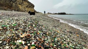A vibrant dog park bathed in sunlight features abundant greenery with mature trees, offering ample shade for leisurely outdoor activities. In the distance is a well-equipped playground that presents an additional activity area. An inviting picnic table spreads out nearby, ideal for enjoying meals al fresco or taking relaxing breaks from play. A neatly-placed trash bin aids in maintaining the park's cleanliness for everyone's enjoyment. Dominating the scene is a generously wide dirt path gracefully curving through the expanse of grass, promising exploratory walks and lively fetch games.