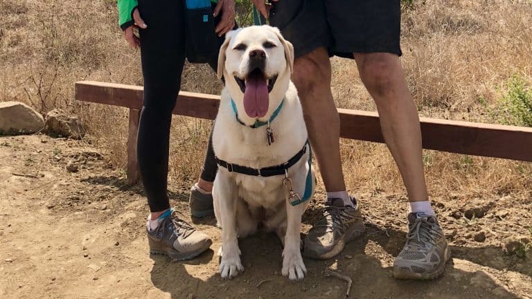 San Luis Obispo (SLO)