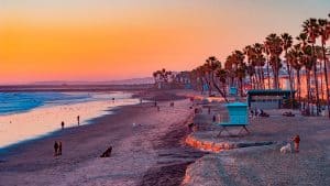 A vibrant dog park bathed in sunlight features abundant greenery with mature trees, offering ample shade for leisurely outdoor activities. In the distance is a well-equipped playground that presents an additional activity area. An inviting picnic table spreads out nearby, ideal for enjoying meals al fresco or taking relaxing breaks from play. A neatly-placed trash bin aids in maintaining the park's cleanliness for everyone's enjoyment. Dominating the scene is a generously wide dirt path gracefully curving through the expanse of grass, promising exploratory walks and lively fetch games.