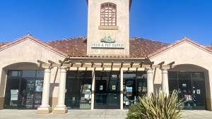 A vibrant dog park bathed in sunlight features abundant greenery with mature trees, offering ample shade for leisurely outdoor activities. In the distance is a well-equipped playground that presents an additional activity area. An inviting picnic table spreads out nearby, ideal for enjoying meals al fresco or taking relaxing breaks from play. A neatly-placed trash bin aids in maintaining the park's cleanliness for everyone's enjoyment. Dominating the scene is a generously wide dirt path gracefully curving through the expanse of grass, promising exploratory walks and lively fetch games.