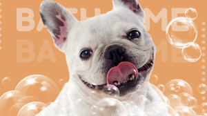 A vibrant dog park bathed in sunlight features abundant greenery with mature trees, offering ample shade for leisurely outdoor activities. In the distance is a well-equipped playground that presents an additional activity area. An inviting picnic table spreads out nearby, ideal for enjoying meals al fresco or taking relaxing breaks from play. A neatly-placed trash bin aids in maintaining the park's cleanliness for everyone's enjoyment. Dominating the scene is a generously wide dirt path gracefully curving through the expanse of grass, promising exploratory walks and lively fetch games.