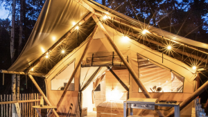 A vibrant dog park bathed in sunlight features abundant greenery with mature trees, offering ample shade for leisurely outdoor activities. In the distance is a well-equipped playground that presents an additional activity area. An inviting picnic table spreads out nearby, ideal for enjoying meals al fresco or taking relaxing breaks from play. A neatly-placed trash bin aids in maintaining the park's cleanliness for everyone's enjoyment. Dominating the scene is a generously wide dirt path gracefully curving through the expanse of grass, promising exploratory walks and lively fetch games.