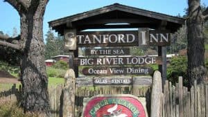 A vibrant dog park bathed in sunlight features abundant greenery with mature trees, offering ample shade for leisurely outdoor activities. In the distance is a well-equipped playground that presents an additional activity area. An inviting picnic table spreads out nearby, ideal for enjoying meals al fresco or taking relaxing breaks from play. A neatly-placed trash bin aids in maintaining the park's cleanliness for everyone's enjoyment. Dominating the scene is a generously wide dirt path gracefully curving through the expanse of grass, promising exploratory walks and lively fetch games.