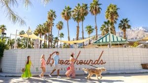 A vibrant dog park bathed in sunlight features abundant greenery with mature trees, offering ample shade for leisurely outdoor activities. In the distance is a well-equipped playground that presents an additional activity area. An inviting picnic table spreads out nearby, ideal for enjoying meals al fresco or taking relaxing breaks from play. A neatly-placed trash bin aids in maintaining the park's cleanliness for everyone's enjoyment. Dominating the scene is a generously wide dirt path gracefully curving through the expanse of grass, promising exploratory walks and lively fetch games.