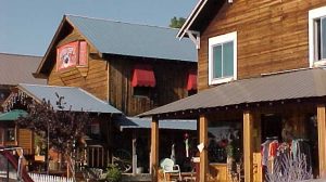 A vibrant dog park bathed in sunlight features abundant greenery with mature trees, offering ample shade for leisurely outdoor activities. In the distance is a well-equipped playground that presents an additional activity area. An inviting picnic table spreads out nearby, ideal for enjoying meals al fresco or taking relaxing breaks from play. A neatly-placed trash bin aids in maintaining the park's cleanliness for everyone's enjoyment. Dominating the scene is a generously wide dirt path gracefully curving through the expanse of grass, promising exploratory walks and lively fetch games.