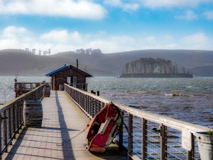 A vibrant dog park bathed in sunlight features abundant greenery with mature trees, offering ample shade for leisurely outdoor activities. In the distance is a well-equipped playground that presents an additional activity area. An inviting picnic table spreads out nearby, ideal for enjoying meals al fresco or taking relaxing breaks from play. A neatly-placed trash bin aids in maintaining the park's cleanliness for everyone's enjoyment. Dominating the scene is a generously wide dirt path gracefully curving through the expanse of grass, promising exploratory walks and lively fetch games.