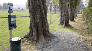 A vibrant dog park bathed in sunlight features abundant greenery with mature trees, offering ample shade for leisurely outdoor activities. In the distance is a well-equipped playground that presents an additional activity area. An inviting picnic table spreads out nearby, ideal for enjoying meals al fresco or taking relaxing breaks from play. A neatly-placed trash bin aids in maintaining the park's cleanliness for everyone's enjoyment. Dominating the scene is a generously wide dirt path gracefully curving through the expanse of grass, promising exploratory walks and lively fetch games.