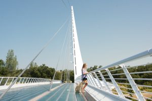 A vibrant dog park bathed in sunlight features abundant greenery with mature trees, offering ample shade for leisurely outdoor activities. In the distance is a well-equipped playground that presents an additional activity area. An inviting picnic table spreads out nearby, ideal for enjoying meals al fresco or taking relaxing breaks from play. A neatly-placed trash bin aids in maintaining the park's cleanliness for everyone's enjoyment. Dominating the scene is a generously wide dirt path gracefully curving through the expanse of grass, promising exploratory walks and lively fetch games.
