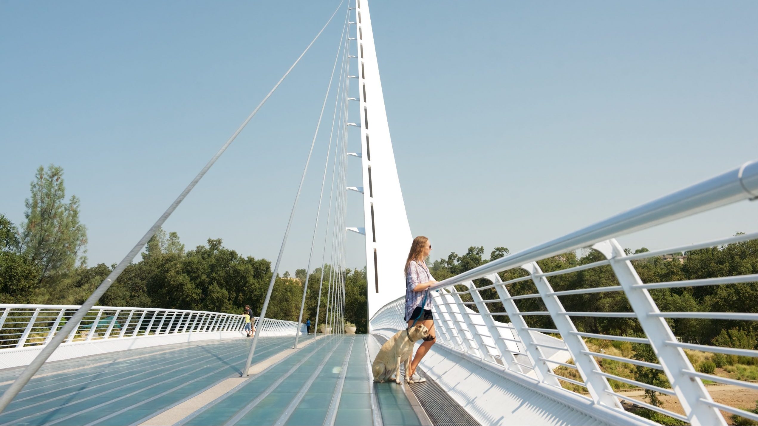 Sundial Bridge. Photo by Choose Redding.