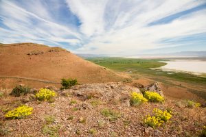 A vibrant dog park bathed in sunlight features abundant greenery with mature trees, offering ample shade for leisurely outdoor activities. In the distance is a well-equipped playground that presents an additional activity area. An inviting picnic table spreads out nearby, ideal for enjoying meals al fresco or taking relaxing breaks from play. A neatly-placed trash bin aids in maintaining the park's cleanliness for everyone's enjoyment. Dominating the scene is a generously wide dirt path gracefully curving through the expanse of grass, promising exploratory walks and lively fetch games.