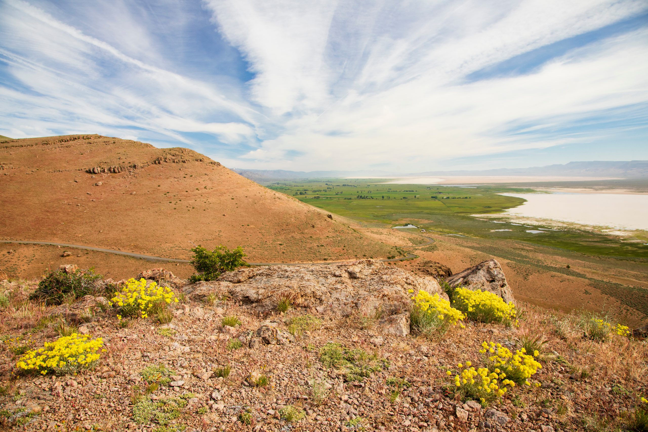 A vibrant dog park bathed in sunlight features abundant greenery with mature trees, offering ample shade for leisurely outdoor activities. In the distance is a well-equipped playground that presents an additional activity area. An inviting picnic table spreads out nearby, ideal for enjoying meals al fresco or taking relaxing breaks from play. A neatly-placed trash bin aids in maintaining the park's cleanliness for everyone's enjoyment. Dominating the scene is a generously wide dirt path gracefully curving through the expanse of grass, promising exploratory walks and lively fetch games.