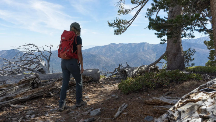 San Bernardino National Forest