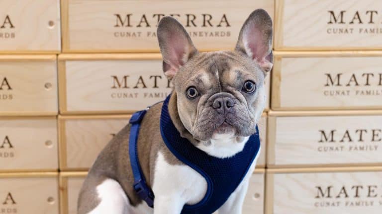 Materra Cunat Family Vineyard