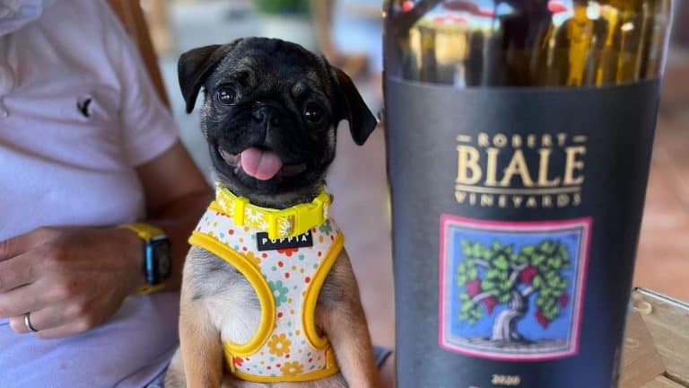 Robert Biale Vineyards