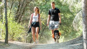A vibrant dog park bathed in sunlight features abundant greenery with mature trees, offering ample shade for leisurely outdoor activities. In the distance is a well-equipped playground that presents an additional activity area. An inviting picnic table spreads out nearby, ideal for enjoying meals al fresco or taking relaxing breaks from play. A neatly-placed trash bin aids in maintaining the park's cleanliness for everyone's enjoyment. Dominating the scene is a generously wide dirt path gracefully curving through the expanse of grass, promising exploratory walks and lively fetch games.