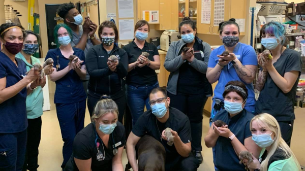 Veterinary Emergency Center of Redlands