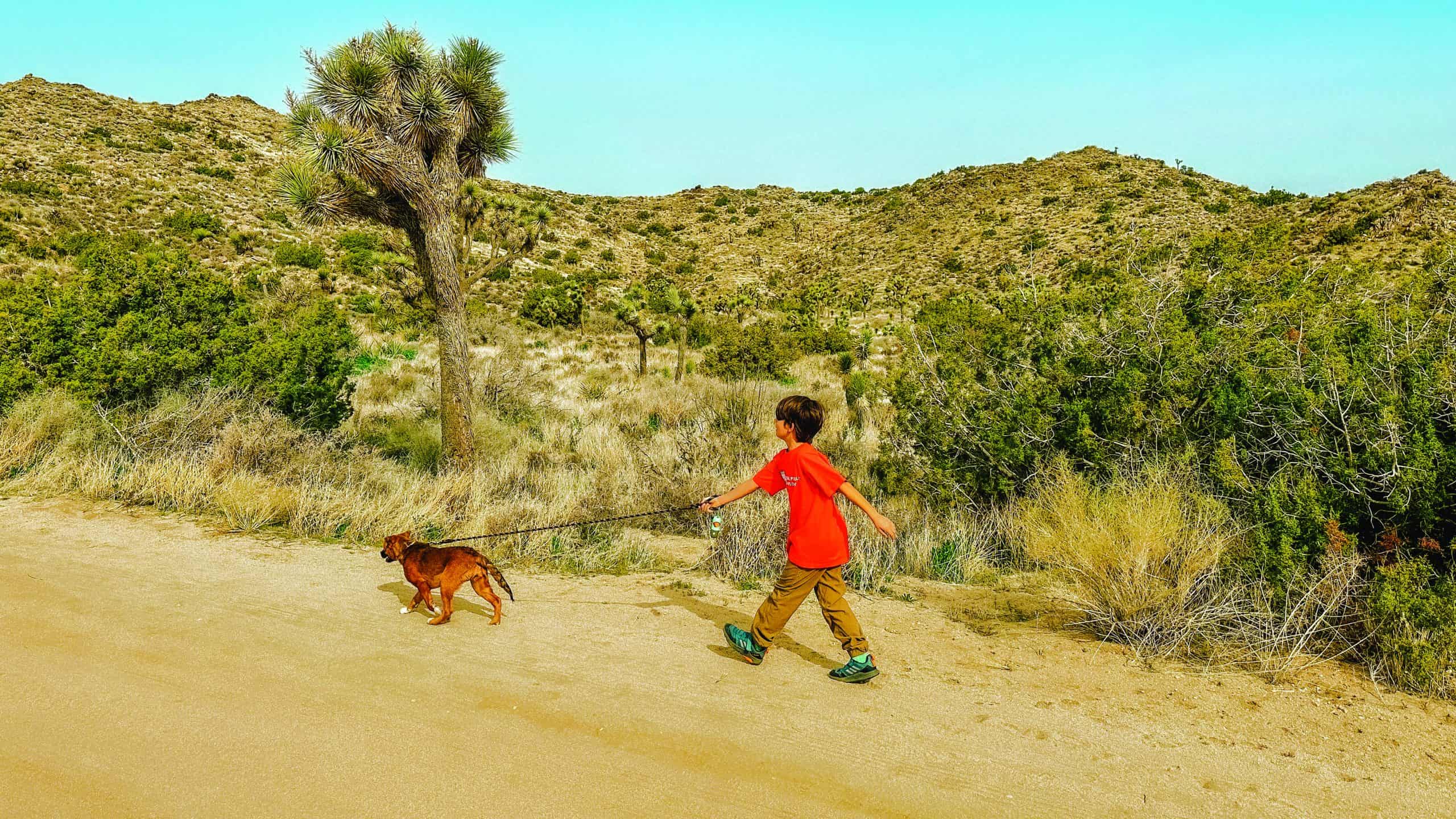 Child walking a dog on a trail in the California Desert.